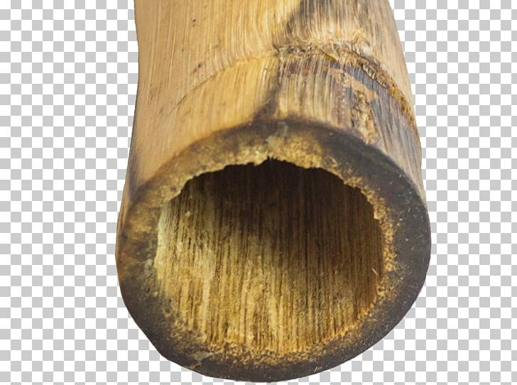 Wood /m/083vt PNG, Clipart, Didgeridoo, M083vt, Nature, Wood Free PNG Download