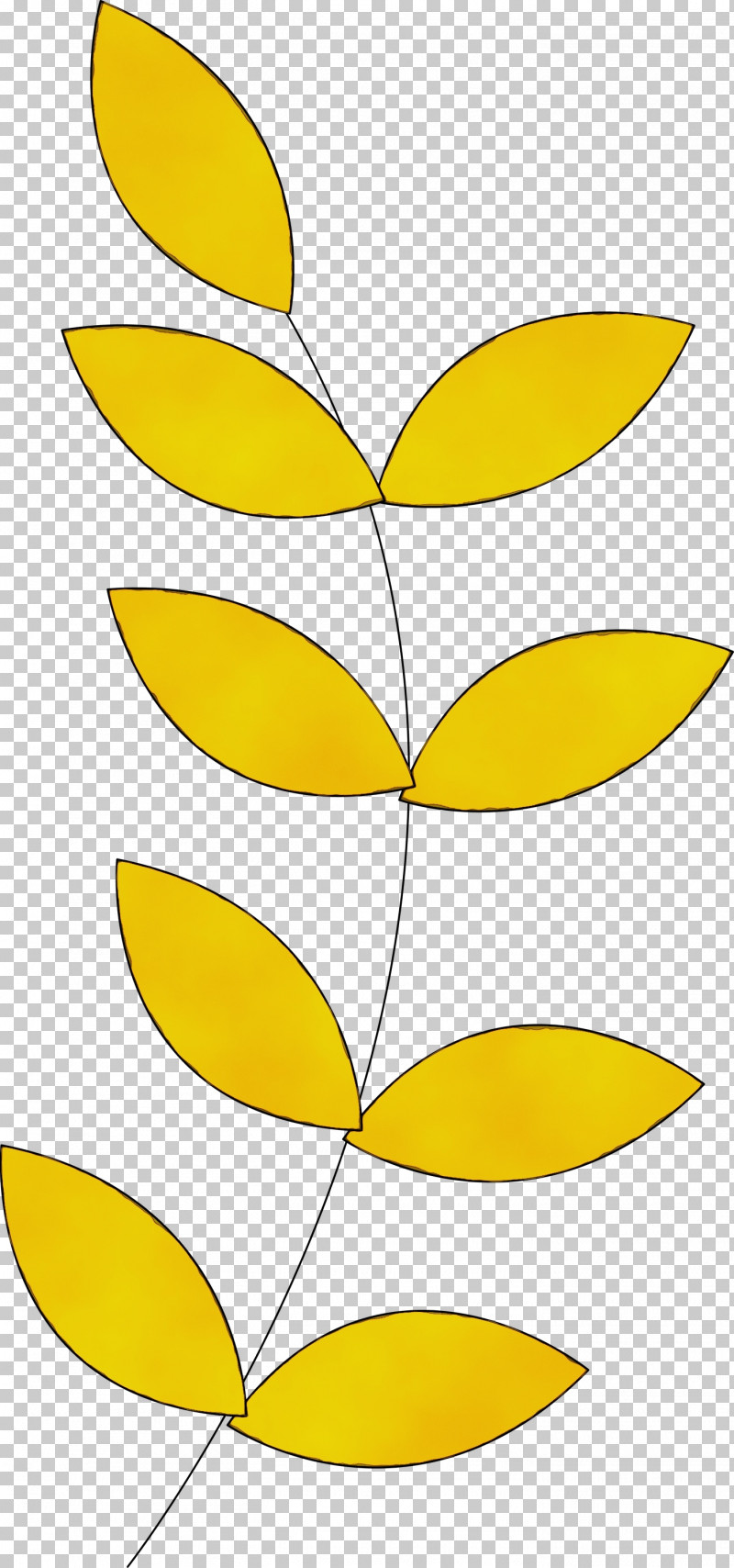Plant Stem Petal Line Art Leaf Angle PNG, Clipart, Angle, Area, Commodity, Leaf, Line Free PNG Download
