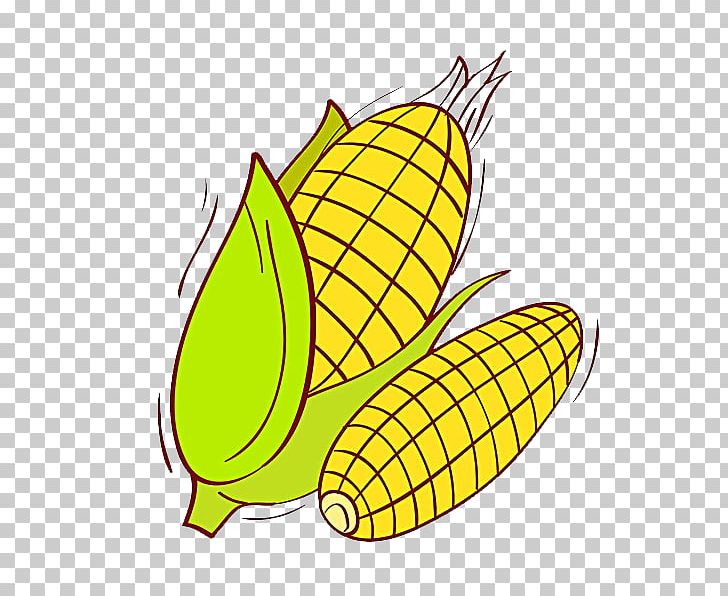 Corn On The Cob Maize Cartoon Illustration PNG, Clipart, Cartoon Corn,  Commodity, Corn, Corn Cartoon, Corncob