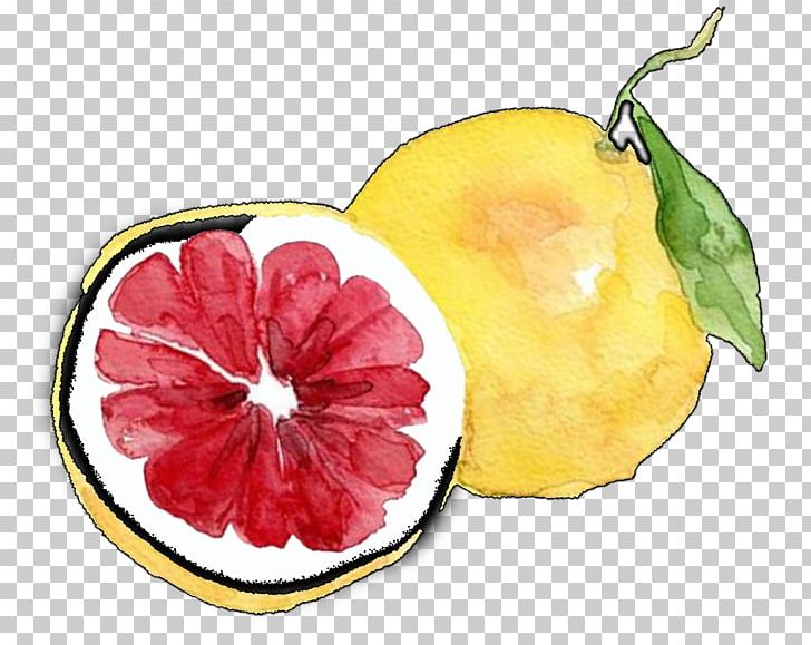 Grapefruit Lemon Pomelo PNG, Clipart, Auglis, Cartoon, Citrus, Diet Food, Encapsulated Postscript Free PNG Download