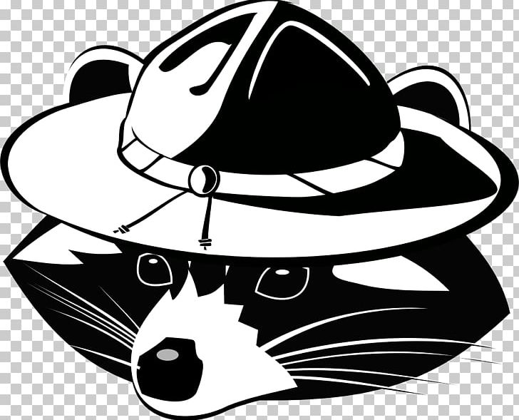 Whiskers Raccoon Cat Illustration PNG, Clipart, Animals, Art, Black, Car, Carnivoran Free PNG Download