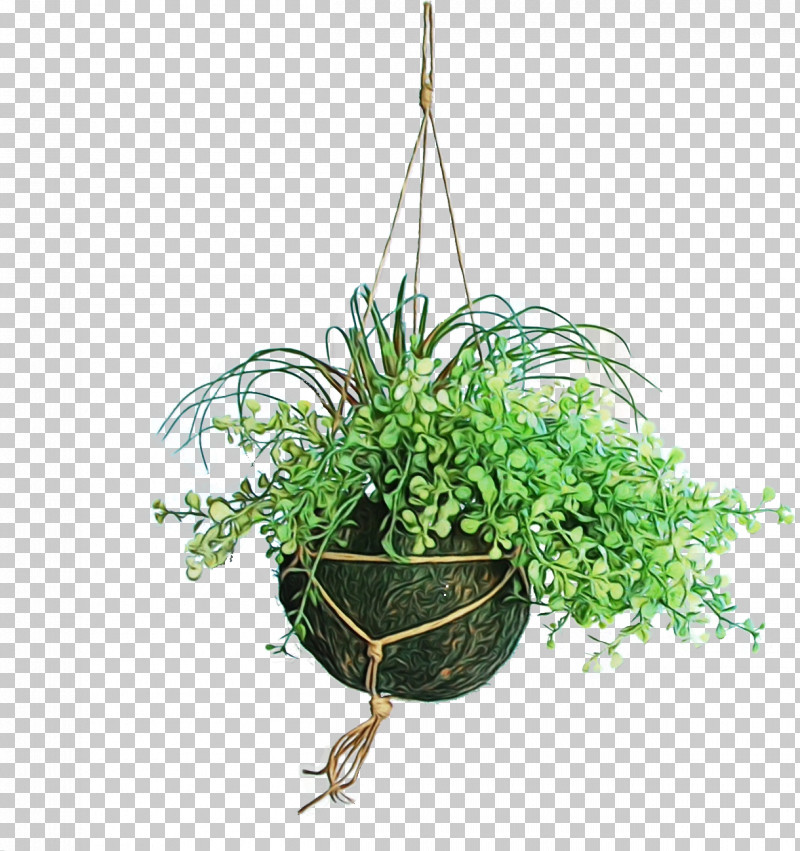 Flowerpot Plant Grass Flower Houseplant PNG, Clipart, Flower, Flowerpot, Grass, Herb, Houseplant Free PNG Download