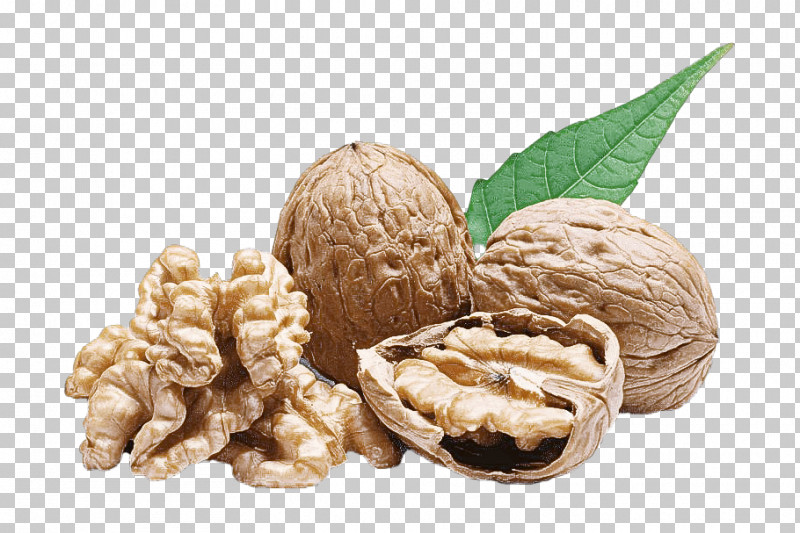 Walnut Celeiro Mais SaÚde Produtos Naturais How To Toast Walnuts Ingredient Tong Garden PNG, Clipart, Album, Commodity, Ingredient, Natural Product, Omega 3 Free PNG Download