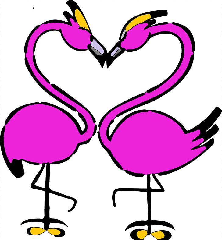 Bird Flamingo PNG, Clipart, Animals, Artwork, Beak, Bird, Download Free PNG Download