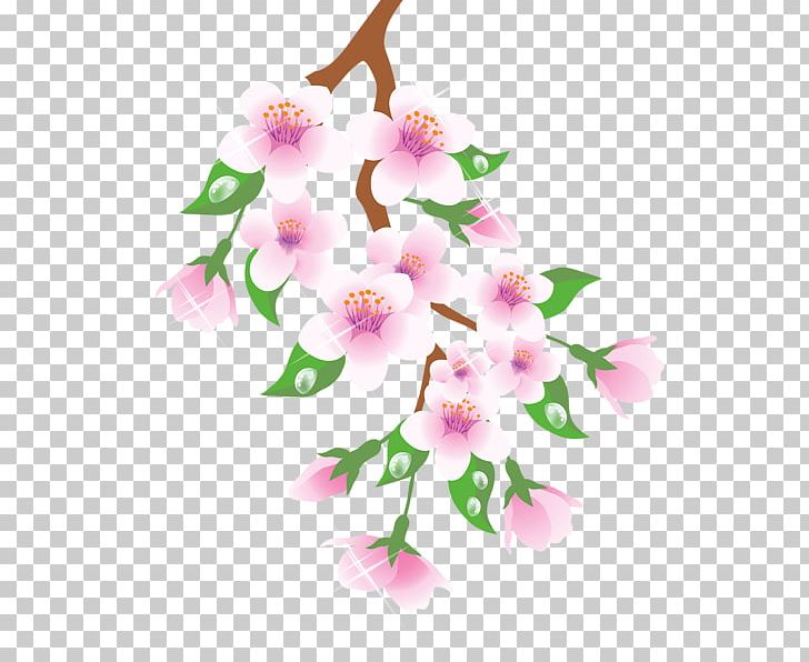 Branch Flower Floral Design PNG, Clipart, Blossom, Branch, Cherry Blossom, Cut Flowers, Diagram Free PNG Download