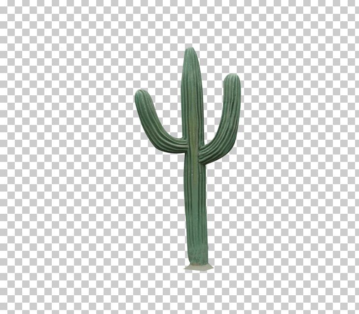 Cactaceae Saguaro Desert PNG, Clipart, Cactaceae, Cactus, Caryophyllales, Data, Data Compression Free PNG Download