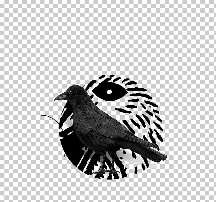 Crows PNG, Clipart, Animals, Art, Background Black, Beak, Bird Free PNG Download