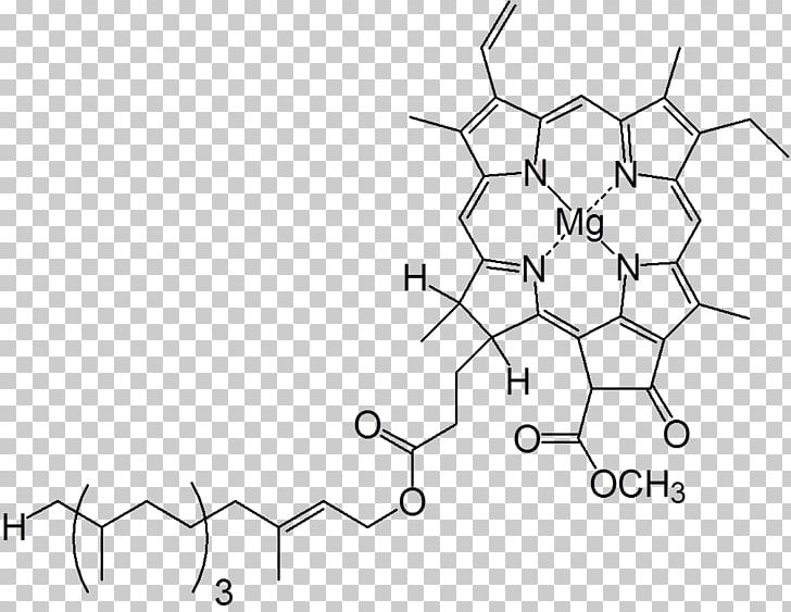 Light Chlorophyll Molecule Heterocyclic Compound Chloroplast PNG, Clipart, Angle, Area, Black And White, Chlorophyll, Chloroplast Free PNG Download
