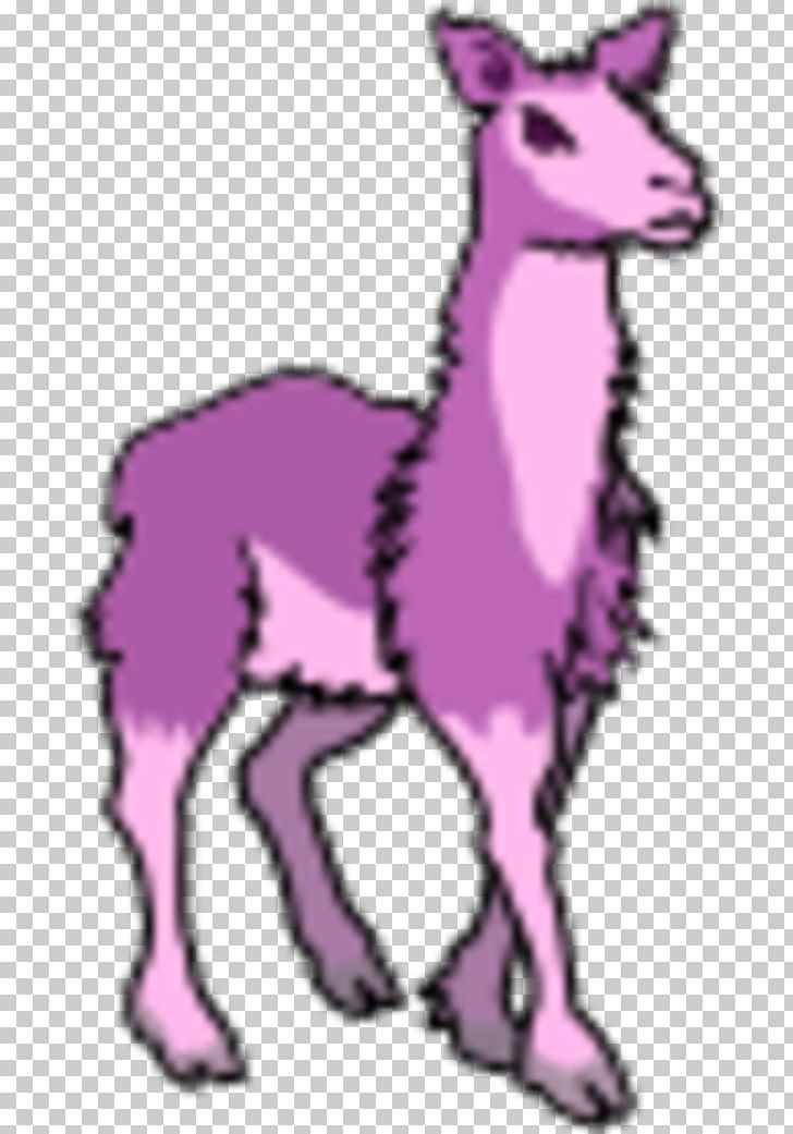 Llama Alpaca Free Content Public Domain PNG, Clipart, Animal Figure, Camel Like Mammal, Carnivoran, Dog Like Mammal, Donkey Free PNG Download