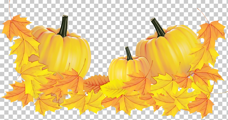 Pumpkin PNG, Clipart, Calabaza, Candy Pumpkin, Field Pumpkin, Gourd, Harvest Free PNG Download