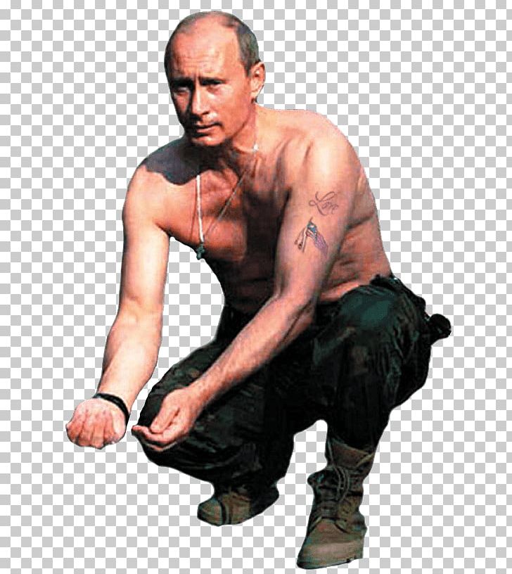 Vladimir Putin The 38th G8 Summit PNG, Clipart, Aggression, Arm, Barechestedness, Celebrities, Chest Free PNG Download