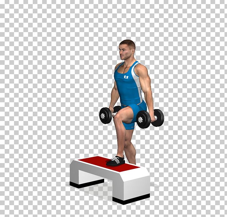 Weight Training Exercise Quadriceps Femoris Muscle Dumbbell PNG, Clipart,  Free PNG Download