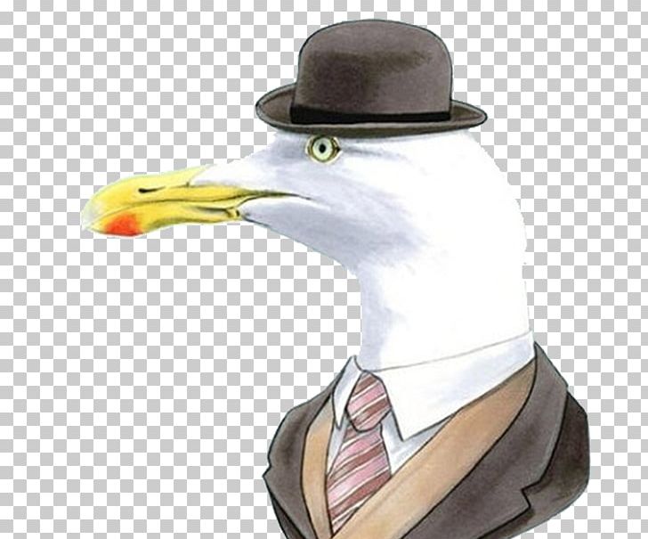 European Herring Gull Bird Common Gull Animal Illustration PNG, Clipart, Animals, Anime Character, Anime Girl, Beach, Duck Free PNG Download