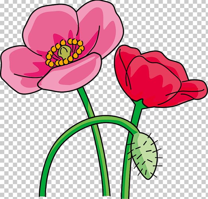 Ise Common Poppy Flower PNG, Clipart, Account, Art, Artwork, Common Poppy, Cut Flowers Free PNG Download