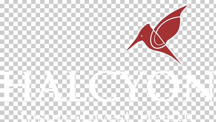 Logo Beak Desktop Font PNG, Clipart, Art, Beak, Bird, Closeup, Computer Free PNG Download