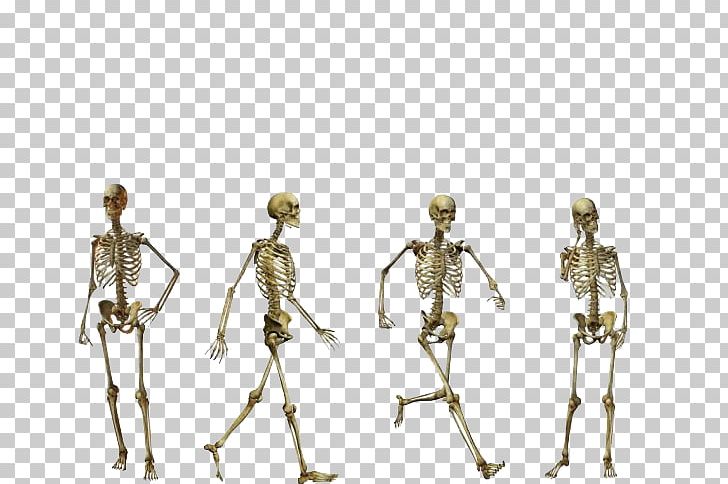 Homo Sapiens Flores Man Australopithecus Afarensis Human Skeleton PNG, Clipart, Australopithecus Afarensis, Body, Bone, Brass, Fantasy Free PNG Download