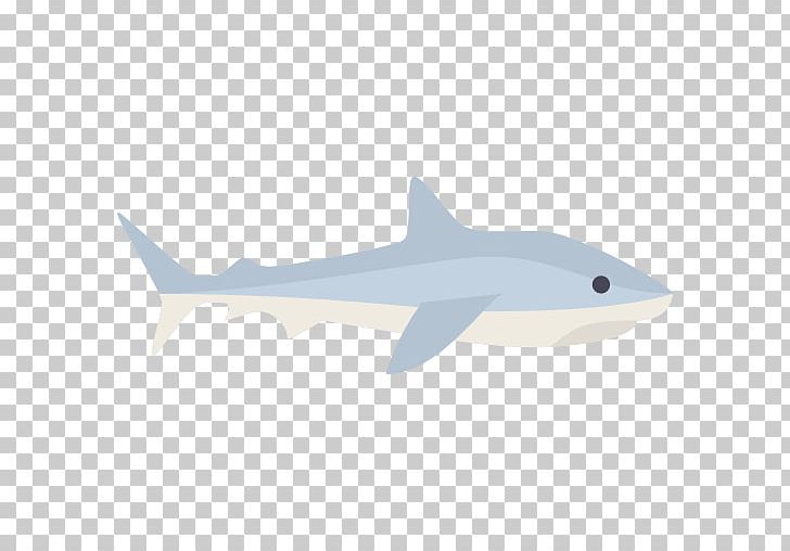 Tiger Shark Squaliform Sharks Marine Biology Marine Mammal Requiem Sharks PNG, Clipart, Animals, Aquarium, Biology, Cartilaginous Fish, Fauna Free PNG Download