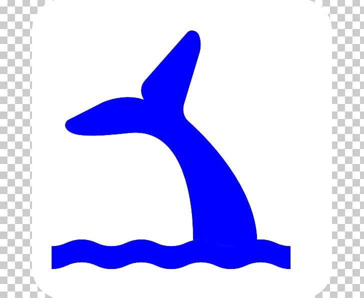 Whale Tail PNG, Clipart, Area, Beak, Blog, Blue Whale, Computer Icons Free PNG Download