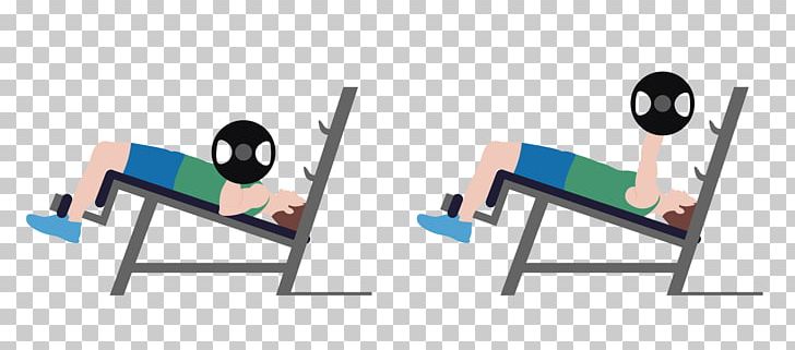 Bench Press Dumbbell Weight Training Exercise Equipment PNG, Clipart, Angle, Area, Barbel, Bench, Chair Free PNG Download