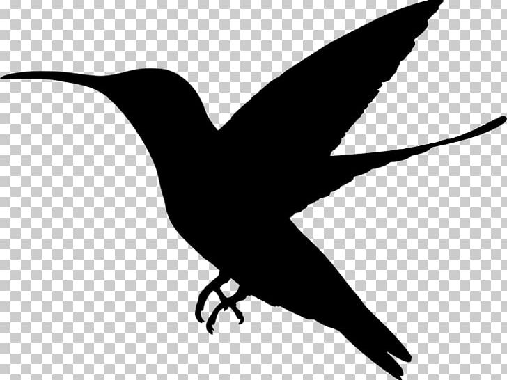 Black-chinned Hummingbird Duck PNG, Clipart, Animal, Animals, Beak, Bird, Bird Feeders Free PNG Download
