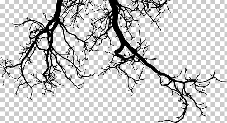 Twig Branch Tree PNG, Clipart, Artwork, Black And White, Branch, Drawing, Flora Free PNG Download