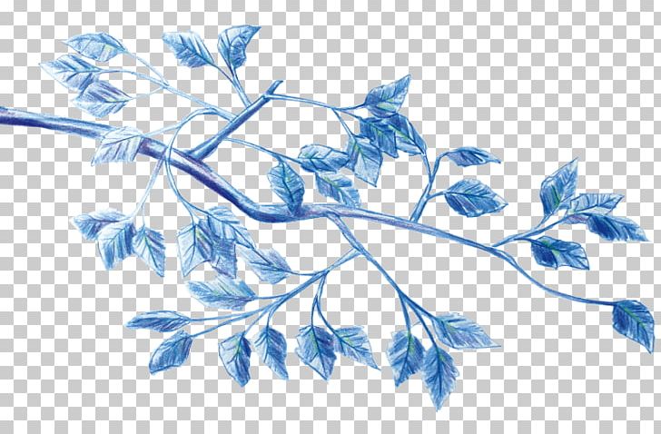 /m/02csf Cooperativa Obrera Leaf Plant Stem Drawing PNG, Clipart, Blue, Branch, Deliberative Assembly, Drawing, Flora Free PNG Download