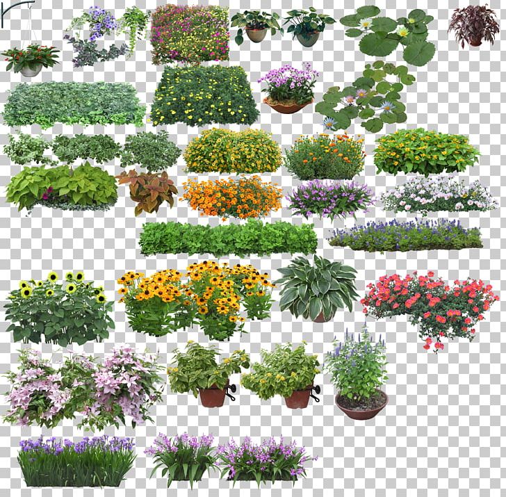 Rendering PNG, Clipart, Annual Plant, Computer Icons, Desktop Wallpaper, Flowers, Garden Free PNG Download