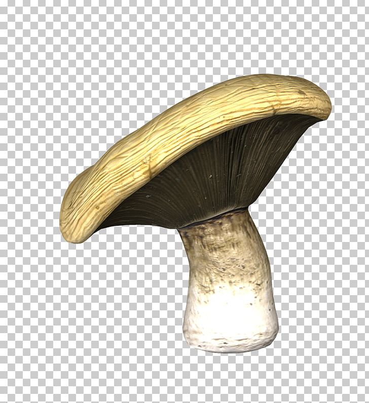 Agaricaceae PNG, Clipart, Agaricaceae, Art, Nuthatch, Table Free PNG Download