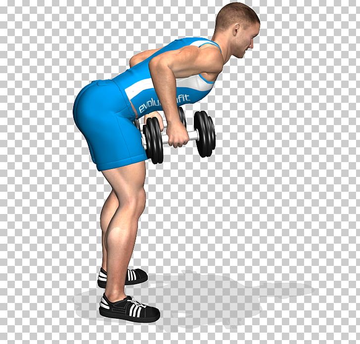 Dumbbell Shoulder Physical Fitness Exercise Muscle PNG, Clipart, Abdomen, Arm, Balance, Bench, Boxing Glove Free PNG Download