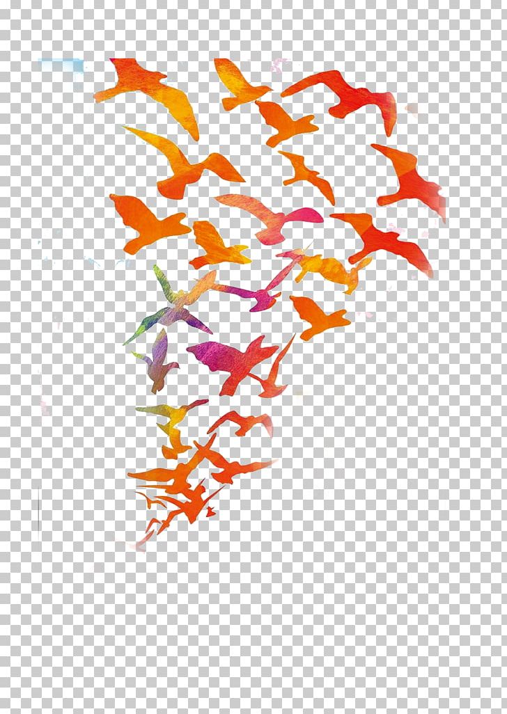 Bird Color Feather PNG, Clipart, Bird, Birds, Branch, Color, Dayan Free PNG Download