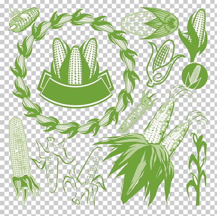 Corn On The Cob Maize PNG, Clipart, Cartoon, Cartoon Corn, Cereal, Corn, Corn Cartoon Free PNG Download