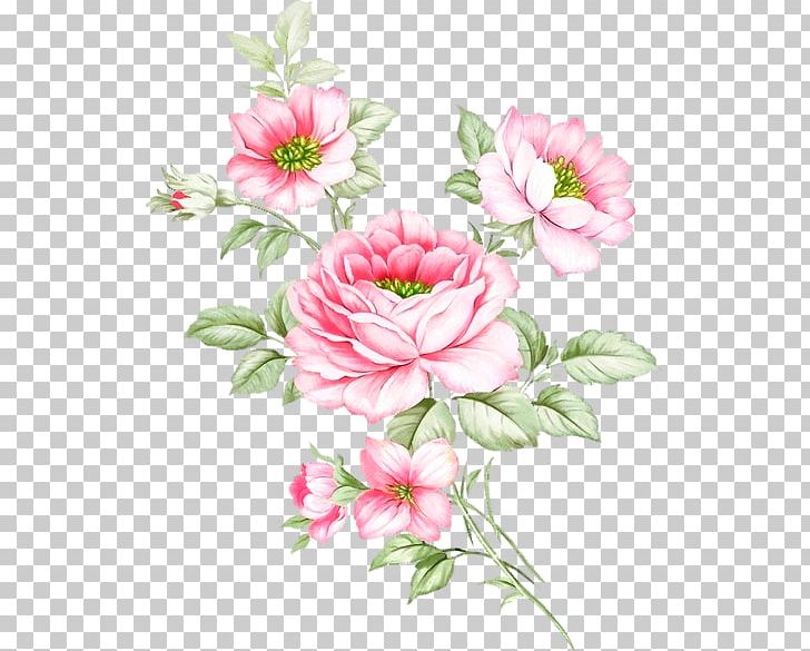 Garden Roses Floral Design Advertising Cut Flowers PNG, Clipart, Annual Plant, Art, Azalea, Business Cards, Centi Free PNG Download