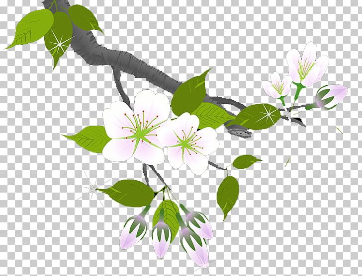 Plum Blossom Flower Twig PNG, Clipart, Blossom, Branch, Branches, Computer, Computer Wallpaper Free PNG Download