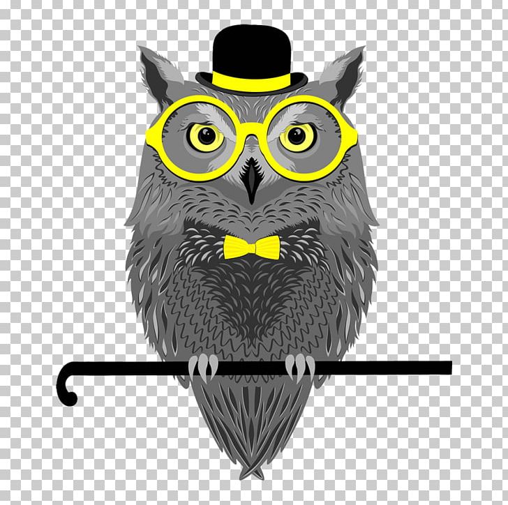 Owl Stock Photography Glasses PNG, Clipart, Animals, Beak, Bird, Bird Of Prey, Drawing Free PNG Download