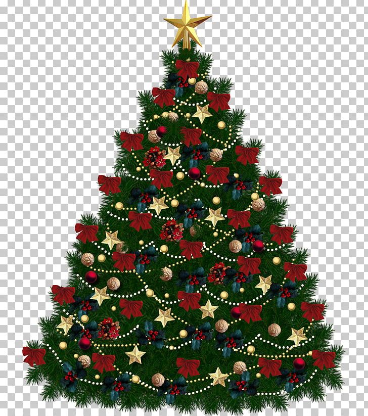 Christmas Tree PNG, Clipart, Border, Christmas, Christmas Decoration, Christmas Ornament, Conifer Free PNG Download