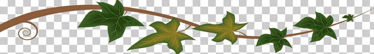 Gary's Landscaping Landscape Design Lawn Vine PNG, Clipart,  Free PNG Download