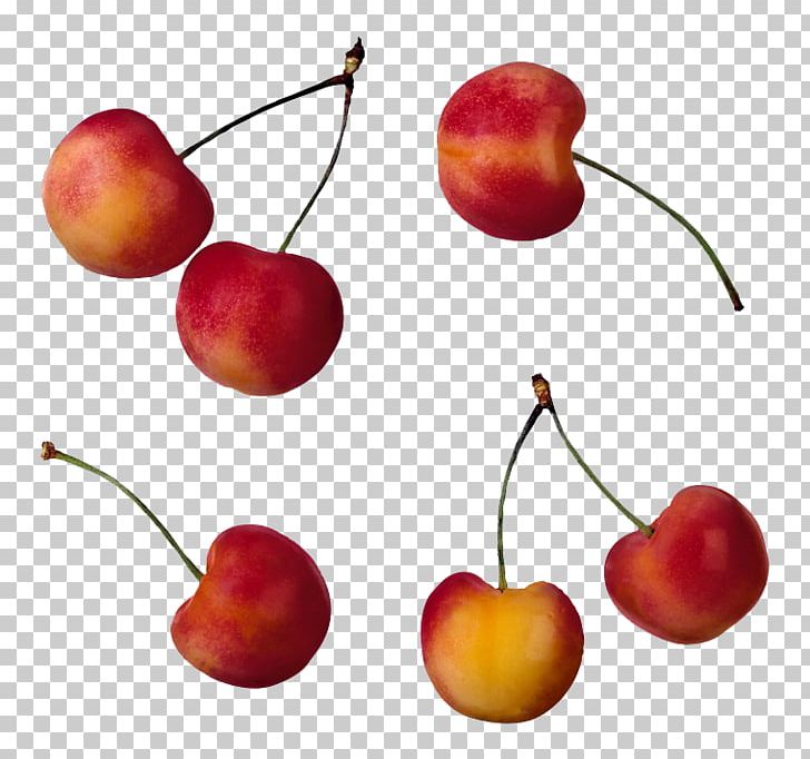Royal Ann Cherry Organic Food Photography PNG, Clipart, Cherry, Cherry Blossom, Cherry Blossoms, Creative Ads, Creative Artwork Free PNG Download