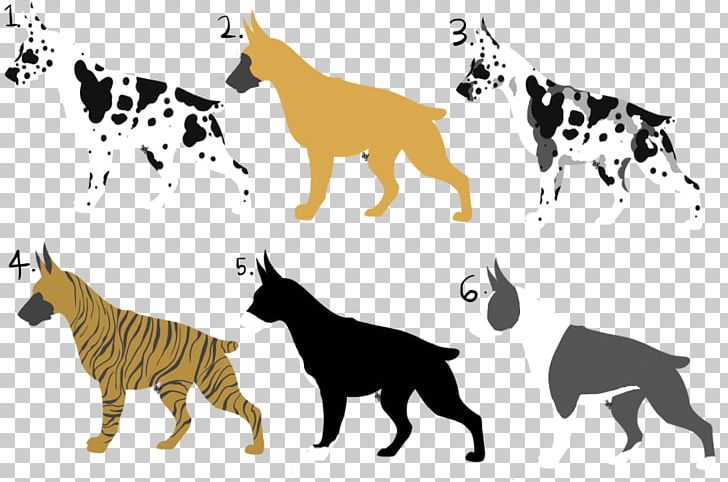 Cat Dog Breed Tiger Non-sporting Group PNG, Clipart, Animals, Big Cat, Big Cats, Breed, Carnivoran Free PNG Download