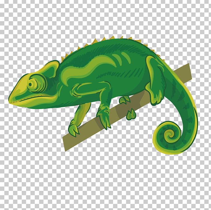 Chameleons Reptile Lizard PNG, Clipart, Animal, Animals, Cdr, Cham, Chameleon Background Free PNG Download