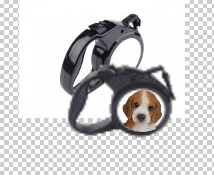 Dog Collar Leash Cat PNG, Clipart, Belt, Cat, Collar, Display Stand, Dog Free PNG Download