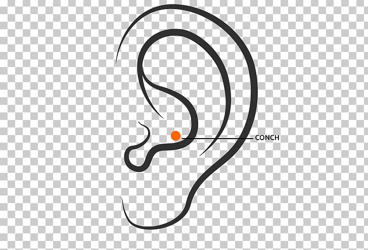 Earring Body Piercing Conch Piercing Helix Piercing Tragus Piercing PNG, Clipart, Area, Artwork, Black And White, Body Piercing, Cartilage Free PNG Download
