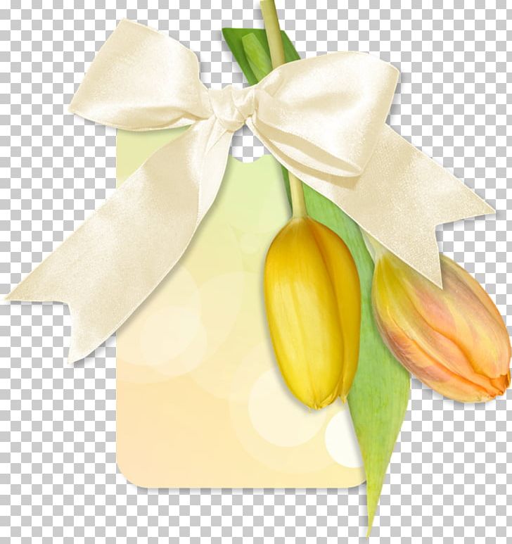 Flower PNG, Clipart, Art, Bow, Digital Image, Floral Design, Flower Free PNG Download