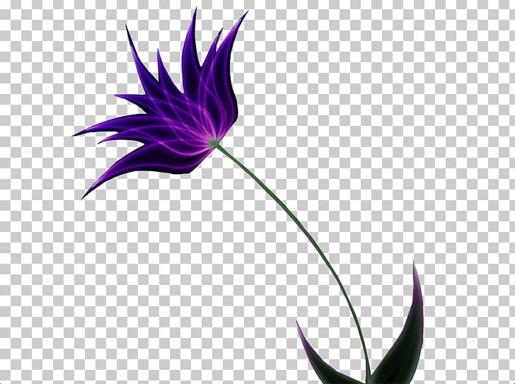 Flower PNG, Clipart, Clip Art, Common Daisy, Desktop Wallpaper, Flora, Floral Design Free PNG Download