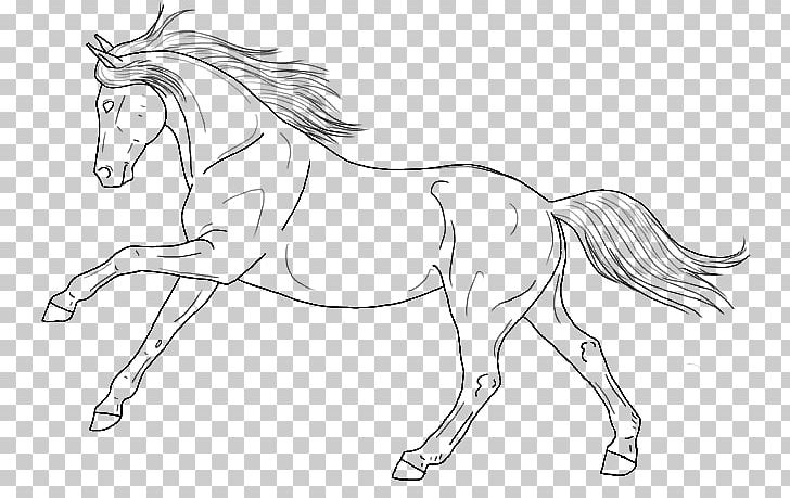 Line Art Arabian Horse Pony Mustang Foal PNG, Clipart, Animal Figure, Arabian Horse, Artwork, Black And White, Bridle Free PNG Download