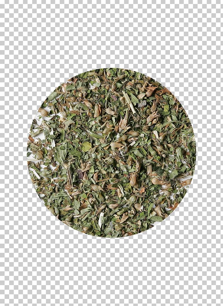 Spice Herb Military Camouflage Soup Cyst PNG, Clipart, Camouflage, Cyst, Grass, Herb, Military Camouflage Free PNG Download