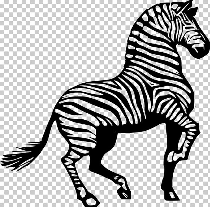 Black And White Zebra PNG, Clipart, Black, Black And White, Color, Coloring Book, Coloring Pages Free PNG Download