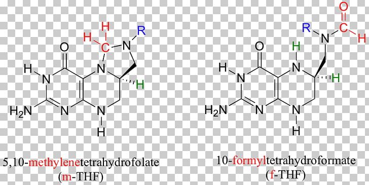 Functional Group Aldehyde Chemical Reaction 10-Formyltetrahydrofolate Anion PNG, Clipart, Aldehyde, Angle, Anion, Bond Cleavage, Chemical Reaction Free PNG Download