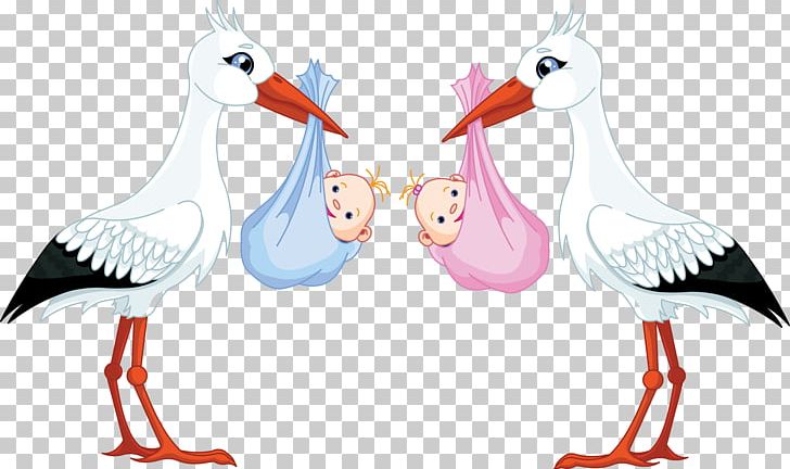 Infant PNG, Clipart, Artwork, Beak, Bird, Chicken, Childbirth Free PNG Download