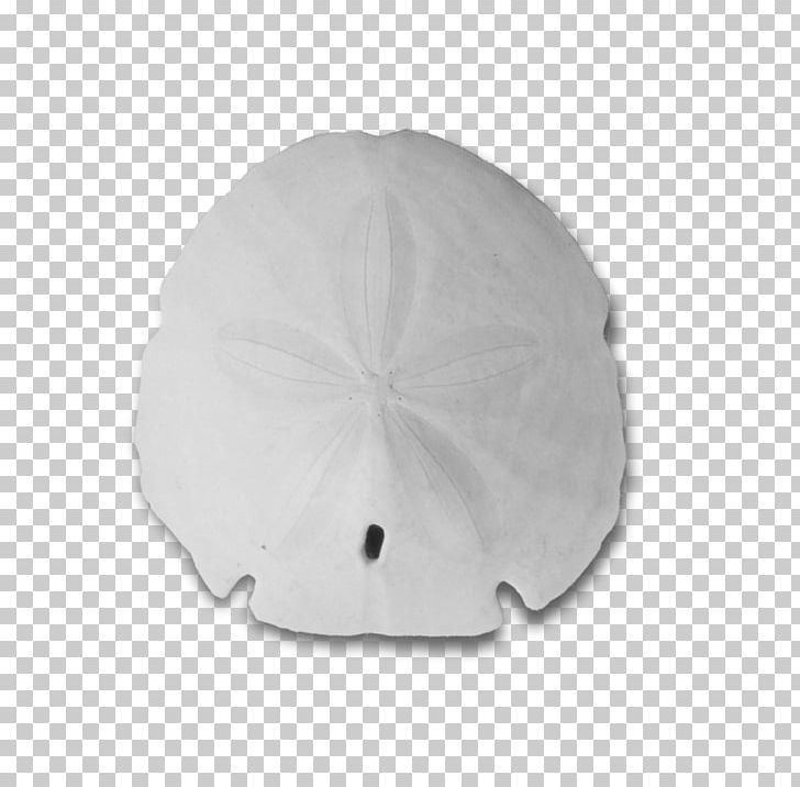 Keyhole Sand Dollar Seashell PNG, Clipart, Animals, Beach, Christmas, Christmas Ornament, Computer Icons Free PNG Download