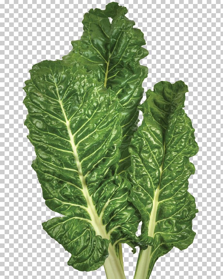 Lacinato Kale Chard Collard Greens Spinach Spring Greens PNG, Clipart, Cabbage, Chard, Collard Greens, Cruciferous Vegetables, Food Free PNG Download